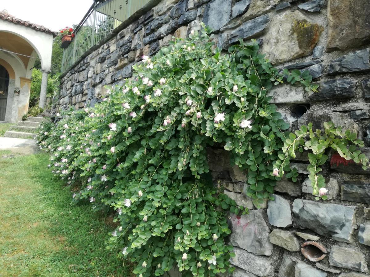 Balcone Dei Limoni Lägenhet Nesso Exteriör bild